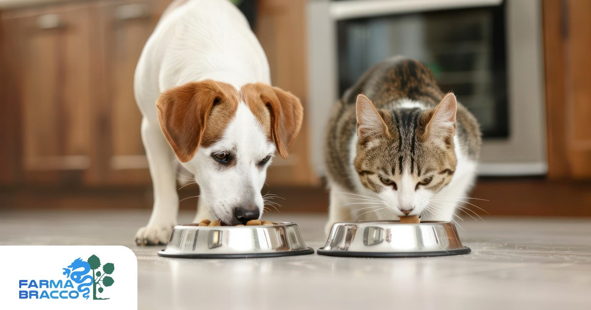 Guida all'alimentazione del cane e del gatto