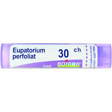 Eupatorium perfoliatum (boiron)*80 granuli 30 ch contenitoremultidose - Eupatorium perfoliatum (boiron)*80 granuli 30 ch contenitoremultidose