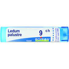 Ledum palustre 9 ch granuli - Ledum palustre 9 ch granuli