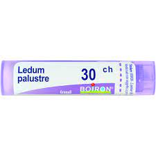 Ledum palustre 30 ch granuli - Ledum palustre 30 ch granuli