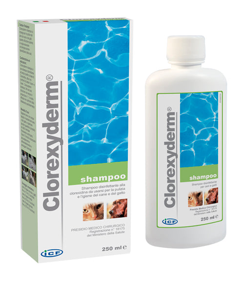 Clorexyderm shampoo 250 ml - Clorexyderm shampoo 250 ml