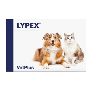 Lypex - 60 capsule