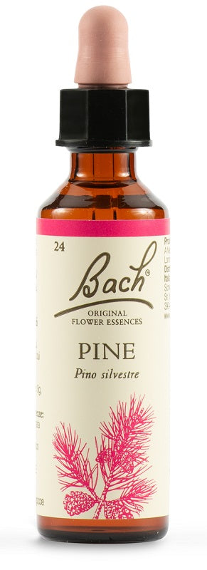 Pine bach orig 20 ml - Pine bach orig 20 ml